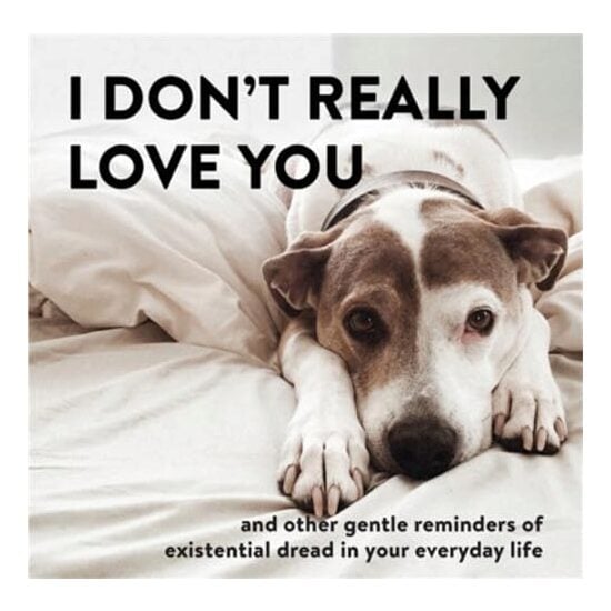I Don't Really Love You