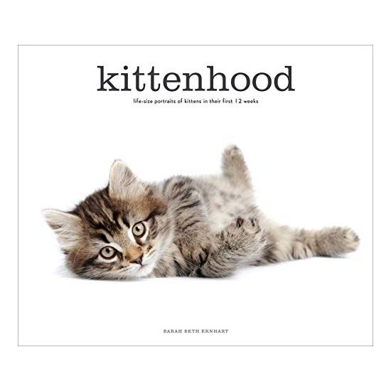 Kittenhood, Sarah Beth Ernhart - Imagine 1