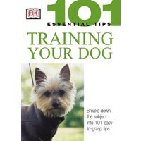 Training Your Dog