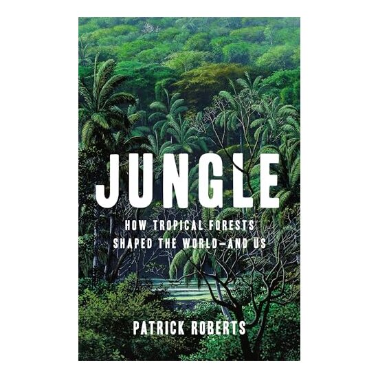 Jungle