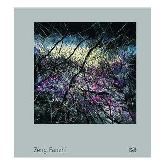 Zeng Fanzhi - Imagine 1