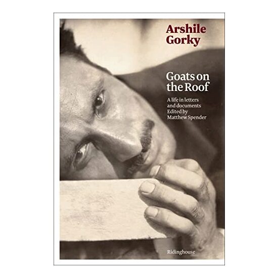 Arshile Gorky - Imagine 1