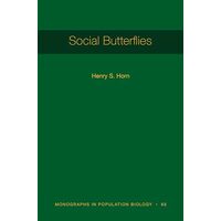 Social Butterflies