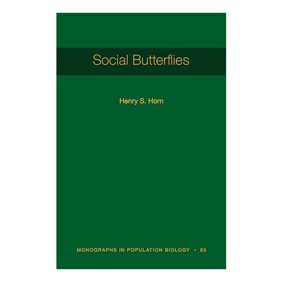 Social Butterflies