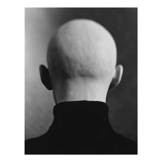 Unspeaking Likeness - Imagine 1