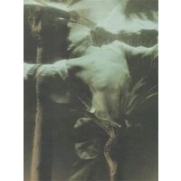 Compound Fracture, Robert Flynt