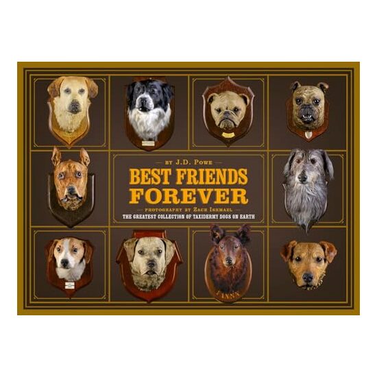 Best Friend Forever - Imagine 1