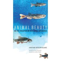 Animal Beauty