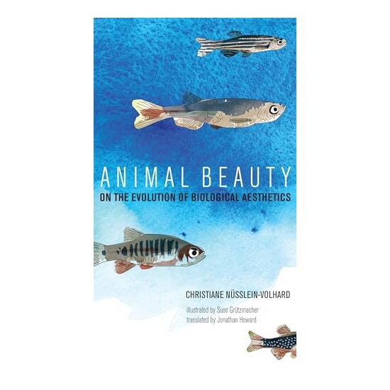 Animal Beauty - Imagine 1