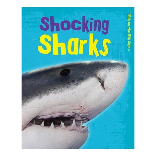 Shocking Sharks - Imagine 1