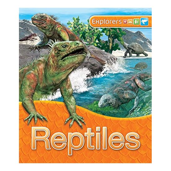 Reptiles - Imagine 1