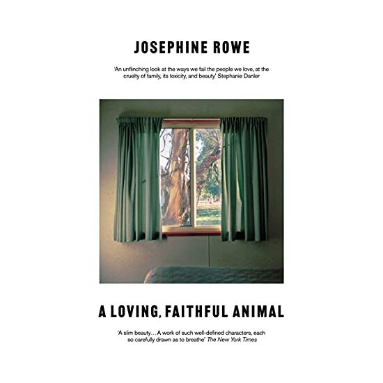 Loving, Faithful Animal - Imagine 1