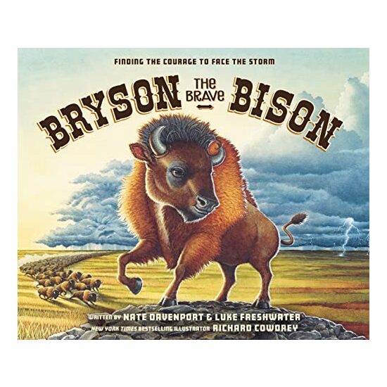 Bryson the Brave Bison - Imagine 1