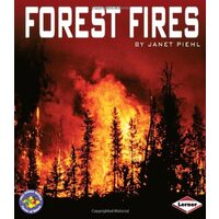 Forest Fires