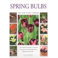 Spring Bulbs