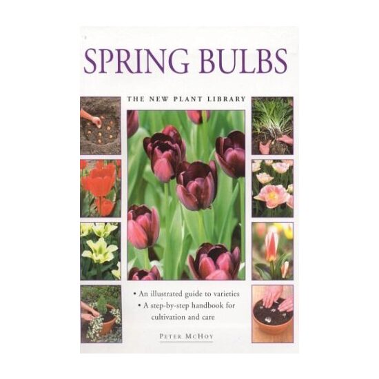 Spring Bulbs