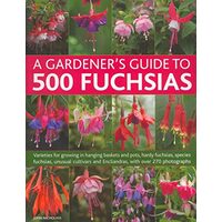 A Gardeners Guide To 500 Fuchsias