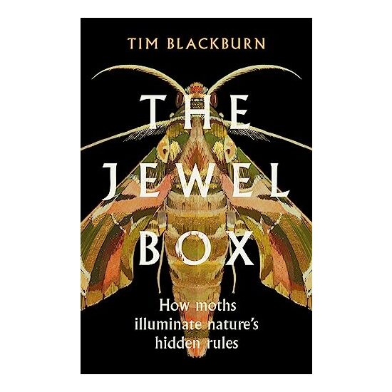 Jewel Box