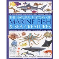 The Natural History Of Marine Fish Sea Creatures An Authoritative Guide To The Fascinating Diversity Of Saltwater Aquatic Life, Amy-Jane Beer, Derek Hall
