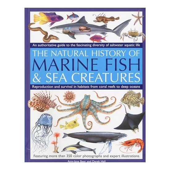 The Natural History Of Marine Fish Sea Creatures An Authoritative Guide To The Fascinating Diversity Of Saltwater Aquatic Life, Amy-Jane Beer, Derek Hall