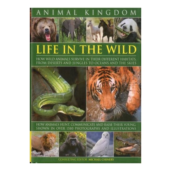 Animal Kingdom, Michael Chinery - Imagine 1