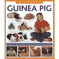 How to look after your guinea pig
