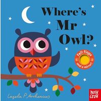 Where's Mr Owl? (Felt Flaps)