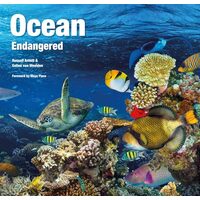 Ocean