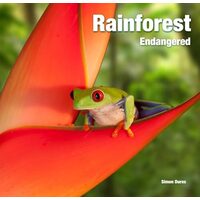 Rainforest