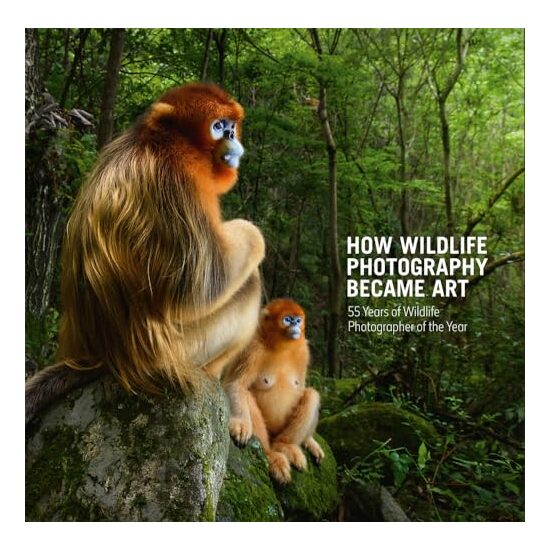 How Wildlife Photography Became Art