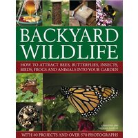 Backyard Wildlife