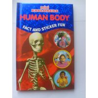 Human body