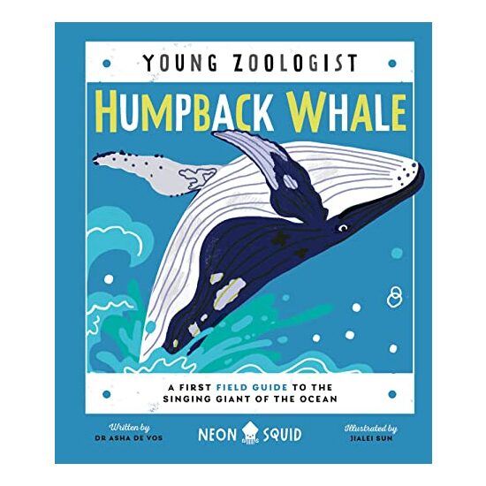 Humpback Whale - Imagine 1