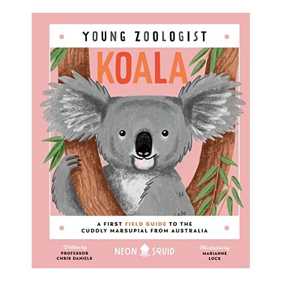 Koala - Imagine 1