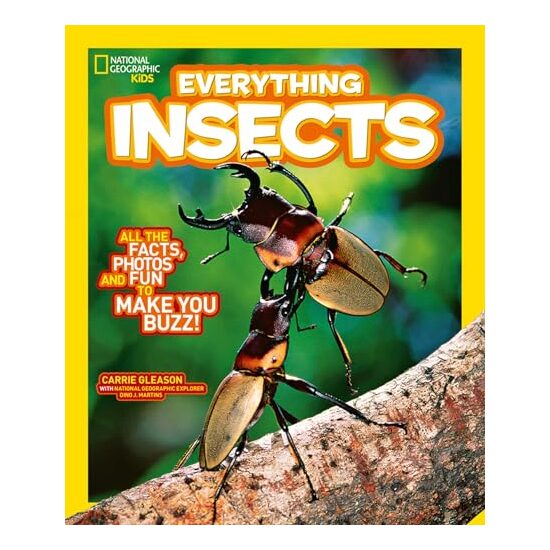 Insects