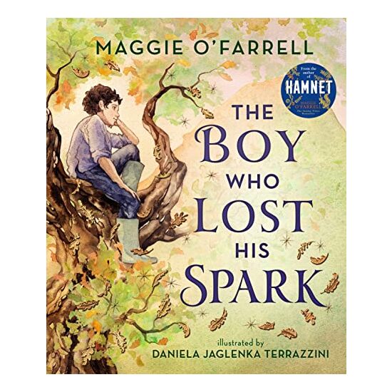 Boy Who Lost His Spark