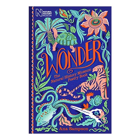 Wonder - Imagine 1