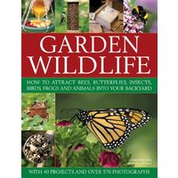 Garden wildlife, Christine Lavelle