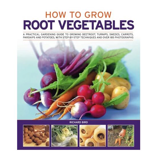How To Grow Root Vegetables - Imagine 1