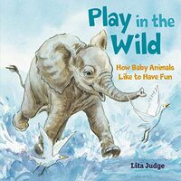 Play in the Wild, Lita Judge