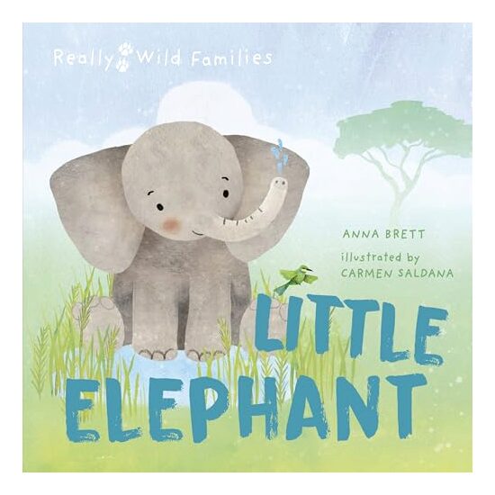 Little Elephant - Imagine 1