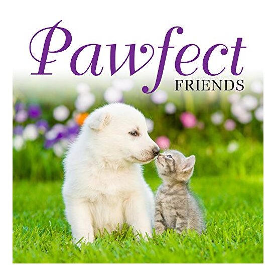Pawfect Friends - Imagine 1