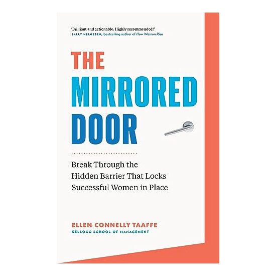 Mirrored Door - Imagine 1