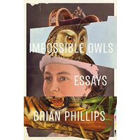 Impossible owls