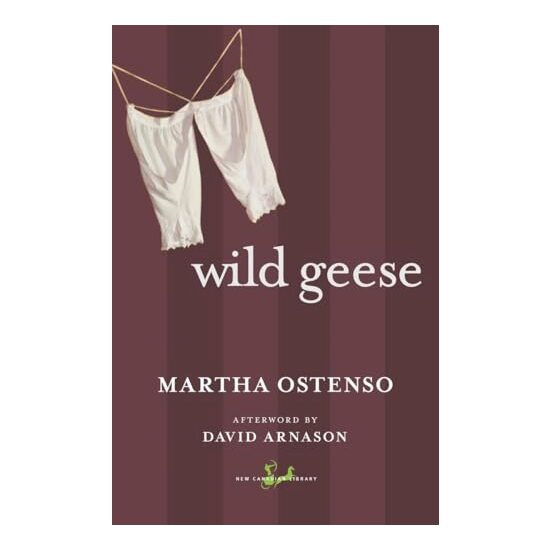 Wild Geese - Imagine 1