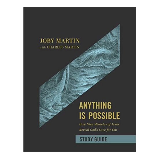 Anything Is Possible Study Guide