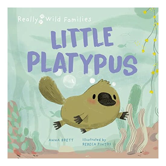 Little Platypus - Imagine 1