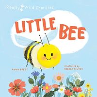 Little Bee, Rebeca Pintos, Anna Brett