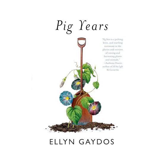 Pig Years