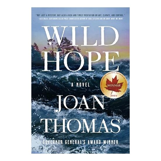 Wild Hope - Imagine 1
